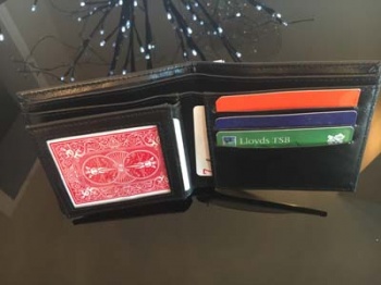 Wild Fire Wallet by Saturn Magic